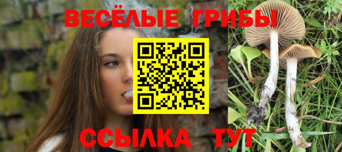 Тобольск  Галлюциногенные грибы прущие грибы  Псилоцибиновые грибы GOLDEN TEACHER  Вход с VPN 