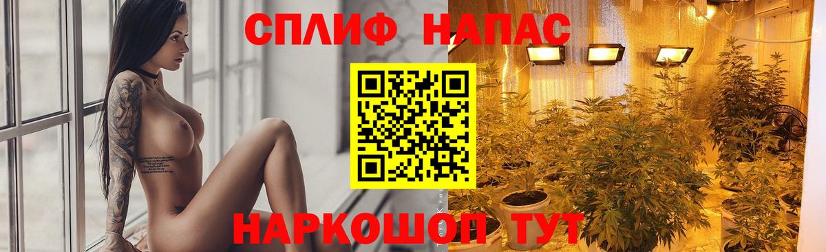 Бошки Шишки THC 21% Тобольск